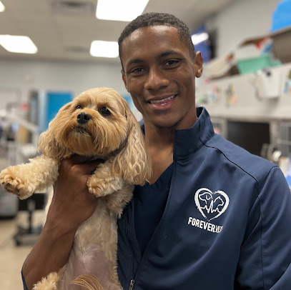 Forever Vets Animal Hospital at Nocatee Forever Vets Animal Hospital at Nocatee