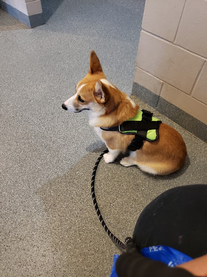 Clay County Humane Society Clay County Humane Society