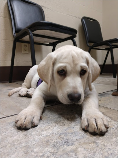 Tallahassee Regional Animal Hospital