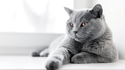 North Port Animal Hospital North Port Animal Hospital