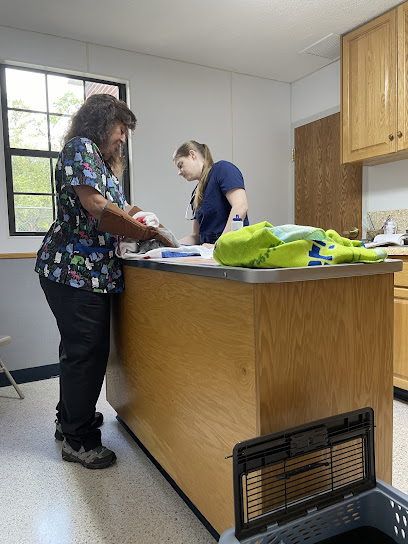 Animal Medical Clinic Tallahassee