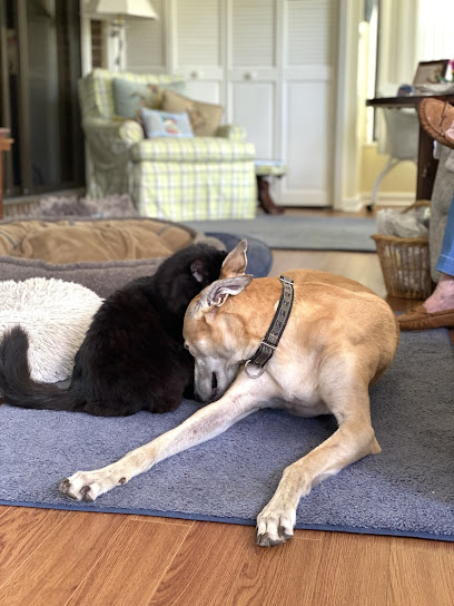 Healing Hands Veterinary Care