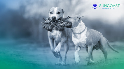 Suncoast Humane Society Suncoast Humane Society