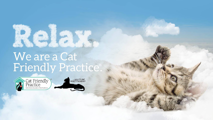 Gulf Coast Scratching Post Cat Hospital