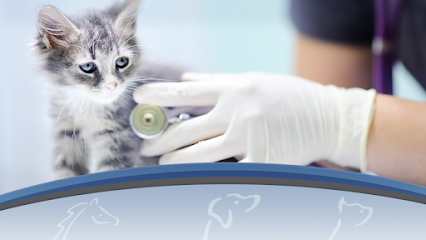Southwest Florida Veterinary Services Southwest Florida Veterinary Services