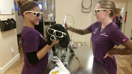 Toledo Blade Animal Clinic Toledo Blade Animal Clinic