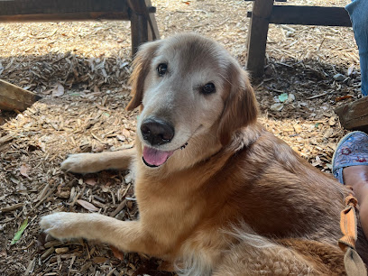 OX BOTTOM ANIMAL HOSPITAL