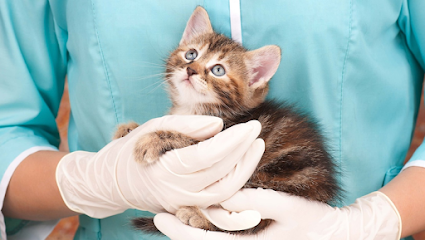 Cross Creek Animal Clinic