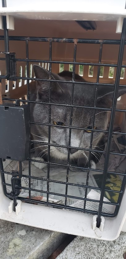 Animal Aid & Spay/Neuter Center