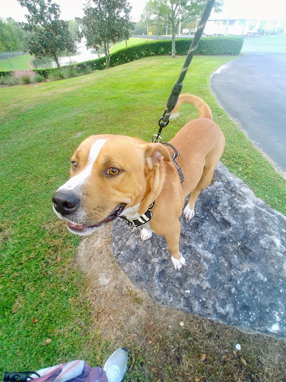 Lakewood Animal Hospital