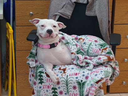 Peace River Veterinary Clinic: Degrove Reece Julie DVM