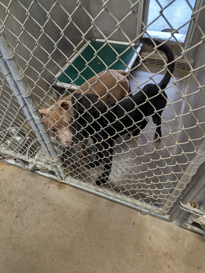 Tallahassee Animal Services