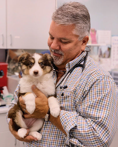 Winter Animal Hospital