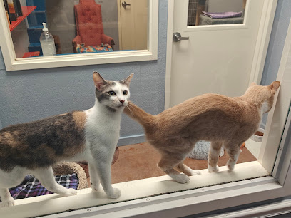 Animal Welfare League of Charlotte County Animal Welfare League of Charlotte County