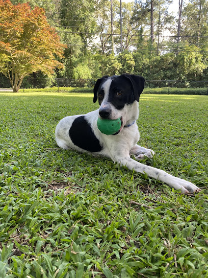 Timberlane Animal Hospital: Kuhar Rachel DVM