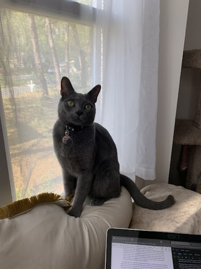 Oakwood Animal Hospital