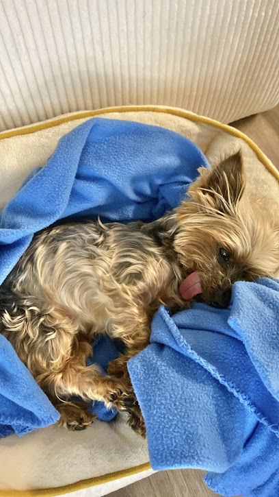 Tallahassee Veterinary Hospital