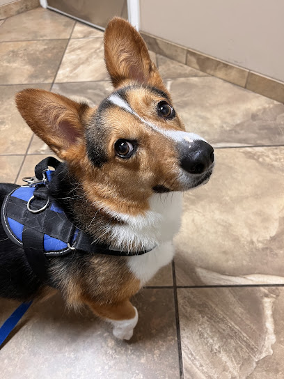 The Animal Hospital & Pet Resort at Southwood