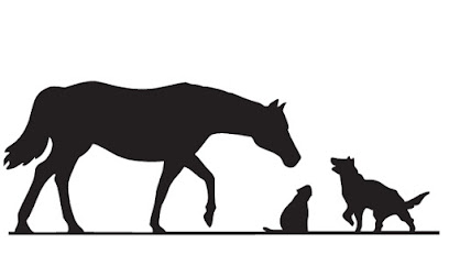 The Pet Shop at St Johns: Debbie Tripp Hope Mast